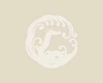 新メニューの紹介Dermaroller  HC902使用 ・肌再生鍼